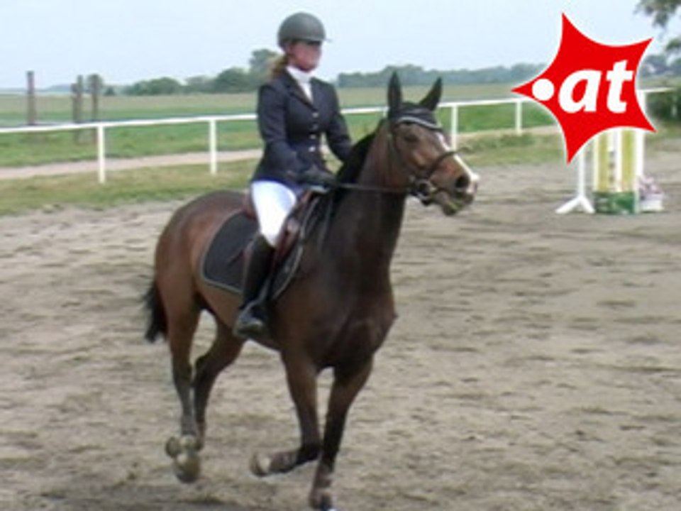 Nina Brand, Springreiten, Kottingbrunn (2008-006)