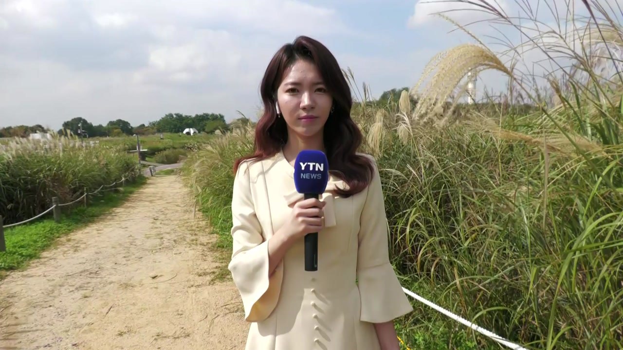 [날씨] 완연한 가을 속, 큰 일교차 주의...영서·충북·경북 곳곳 소나기 / YTN