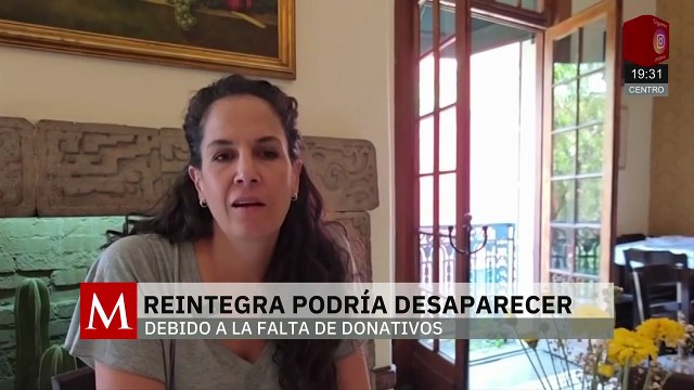 Reintegra, la organización que reinserta jóvenes puede cerrar debido a la falta de donativos