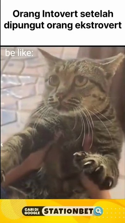 Asupan Meme Lucu & Ngakak Setiap Hari