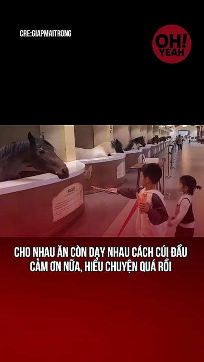 Cho ăn cũng phải gật rồi cảm ơn nha mấy ba