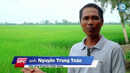 Đánh giá của nhà nông sau khi sử dụng BÉ BỤ 30SE và PATAXIM 55EC