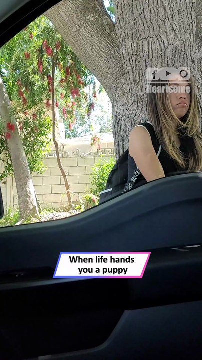 Girl’s Priceless Reaction to Surprise Puppy Will Melt Your Heart|| Heartsome 💖