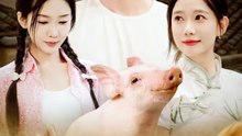 新剧上线#开局一头猪我在荒年养全家 (上)