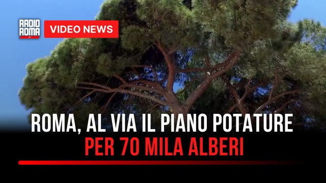 Roma, al via il piano potature per 70 mila alberi