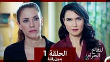 التفاح الحرام الحلقة ال 1 (بدون رقابة) (Arabic Dubbed)
