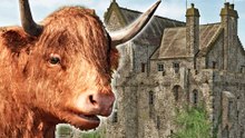 Im Landwirtschafts-Simulator 25 bestellt ihr eure Felder bald in den schottischen Highlands