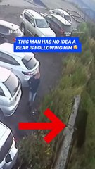 شاب ينجو من هجوم دب باللحظة الأخيرة