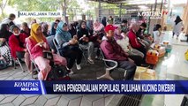 Upaya Pengendalian Populasi, Puluhan Kucing di Kota Malang Dikebiri