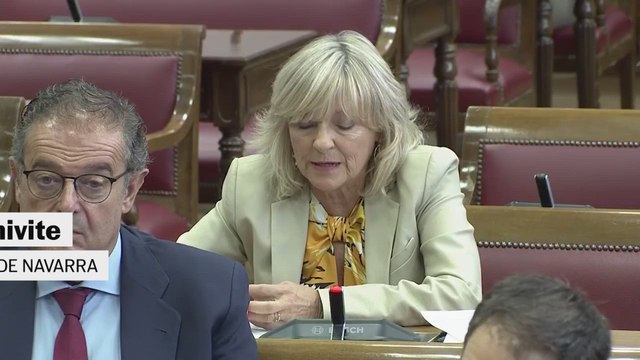 niega irregularidades en la licitación del túnel de Belate: Cerdán no fue clave