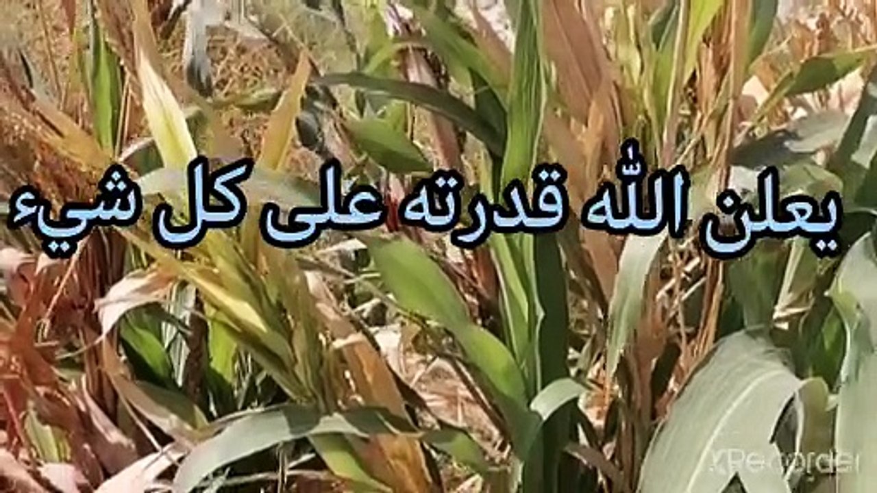 نقي قلبك يعلن الله قدرته على كل شيء عندما يظن الإنسان أنه قادر ان يفعل كل ما يريد بدون الرجوع لخالق السموات والأرض