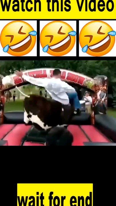 Best vedio funny