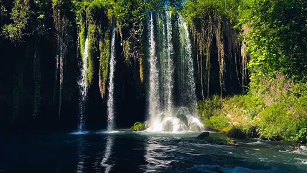 🌾 Peaceful Farm Views | Relaxing Nature Scenery