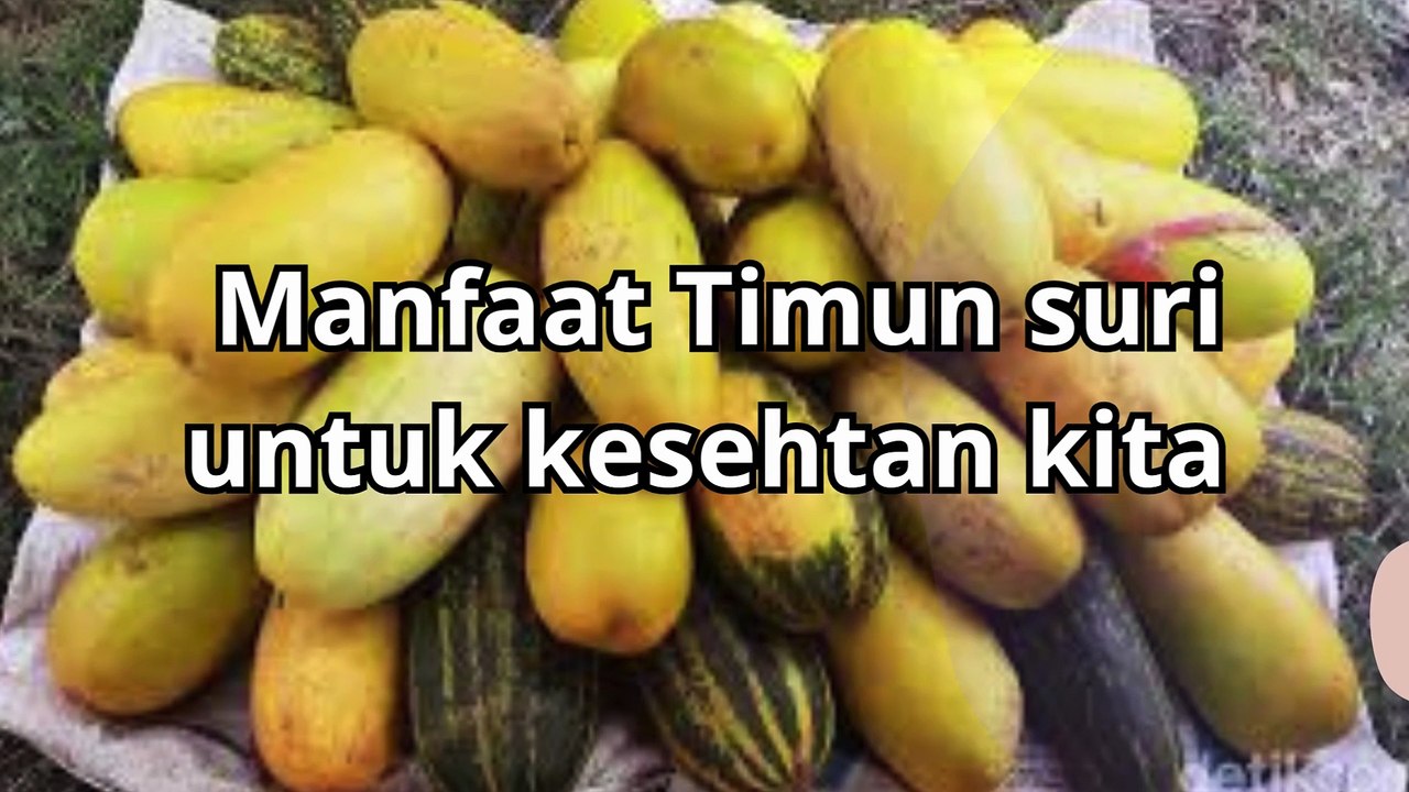 Manfaat Kesehatan Timun Suri, Buah Favorit Berbuka Puasa untuk kesehatan kita yang yg mengejutkan