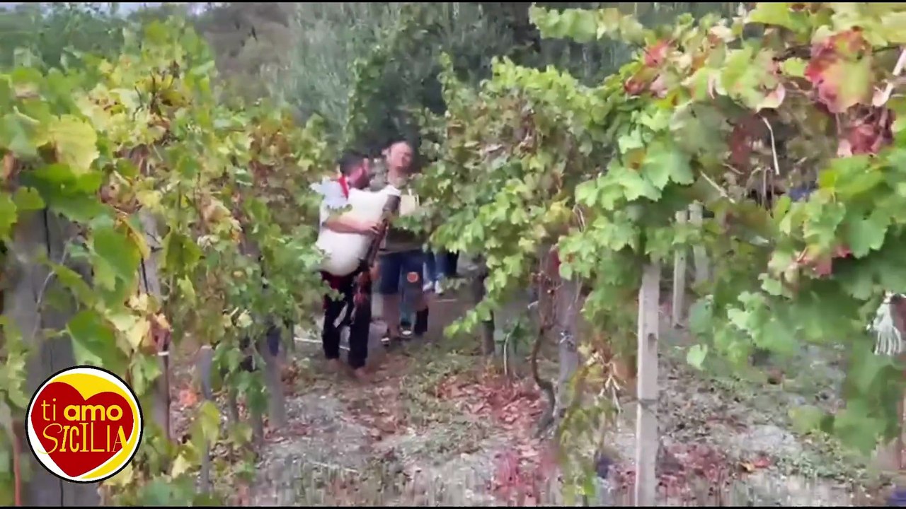 Cateno De Luca - A Mongiuffi Melia la vendemmia si fa così! (29.09.25)