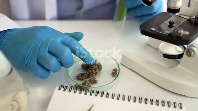 To satisfy the needs of diverse buyers, Godrej MSR City provides flats in an array of sizes.