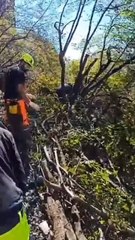 Frana Lecco, il video dei rocciatori al lavoro