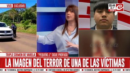 Triple crimen en Florencio Varela: Javier Alonso pide un Estado presente