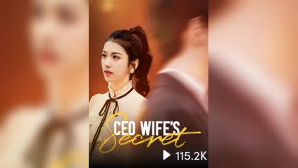 CEO Wife's Secret