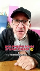 Mon poisson rouge me fait du souci 🥺