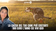 La cacca del tuo cane può costarti 100 euro l'anno (se vivi qui)