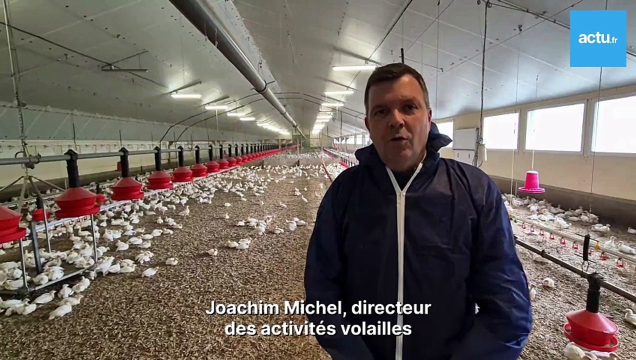 CoMi Sense à l'élevage de dindes de la Chaplais