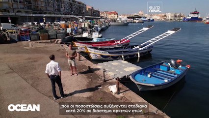 Η αξιοσημείωτη ανάκαμψη του ερυθρού τόνου στην Ευρώπη