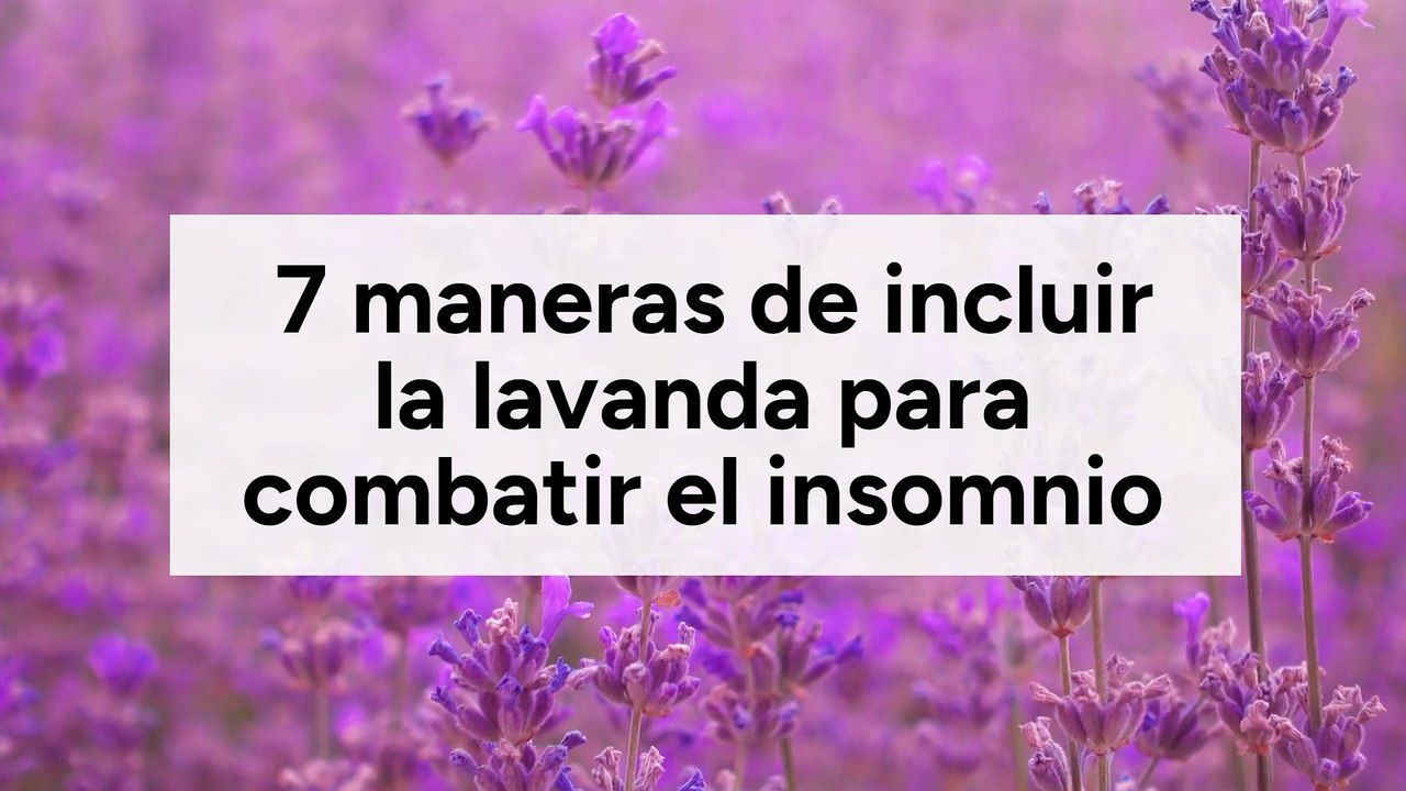 7 maneras de incluir la lavanda para combatir el insomnio