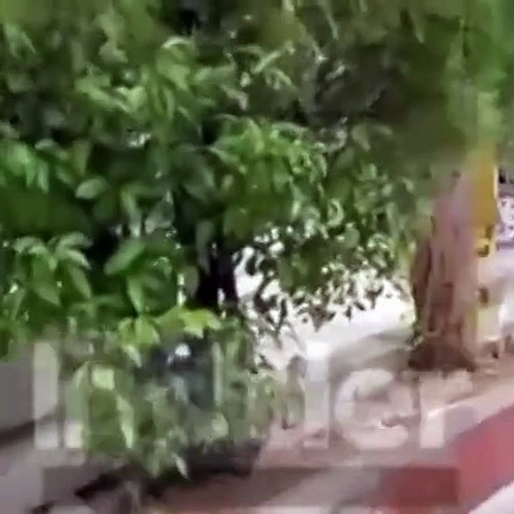 فيديو يُوثِّق اللحظات الأولى للإفراج عن زوج نانسي عجرم