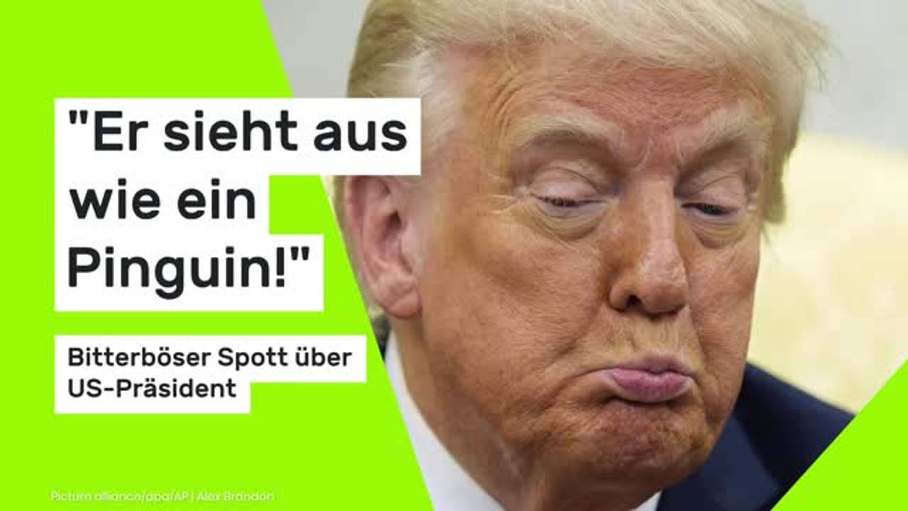 Donald Trump: 'Er sieht aus wie ein Pinguin!' Bitterböser Spott über US-Präsident überschwemmt das Netzt Sparks Spott