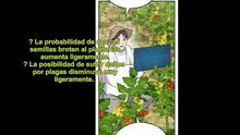 CULTIVANDO EN LA TORRE SOLITARIA NOVELA PARTE -113