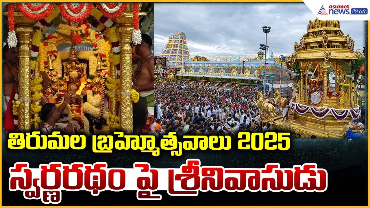 Tirumala Brahmotsavam 2025 | స్వర్ణరథం పై శ్రీనివాసుడు | Swarna Ratham | Asianet News Telugu