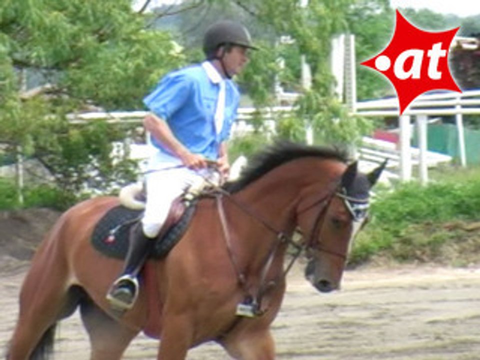 Alfred Fischer, Springreiten, Kottingbrunn (2008-009)