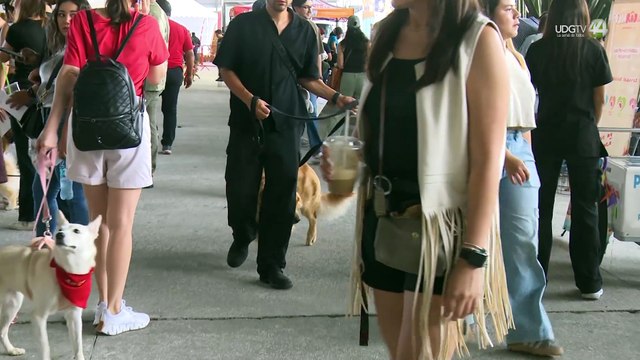 La Cineteca FICG abrió sus puertas a la adopción responsable de perros y gatos