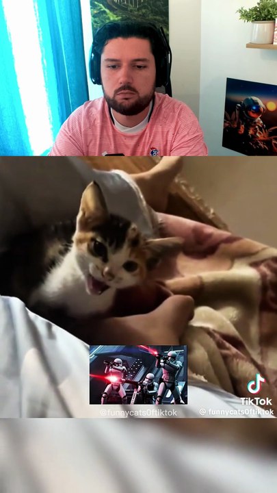 Straight Face Challenge #1 Les bruits de chat ! #humour