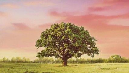 Na miłość nie ma recepty - 51