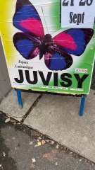 L’évent qui interpelle 🚨 La bourse internationale aux insectes 🦋