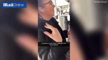 بالفيديو: طائر نورس يتسبب في موقف مرعب لفتاة تحمل الآيس كريم