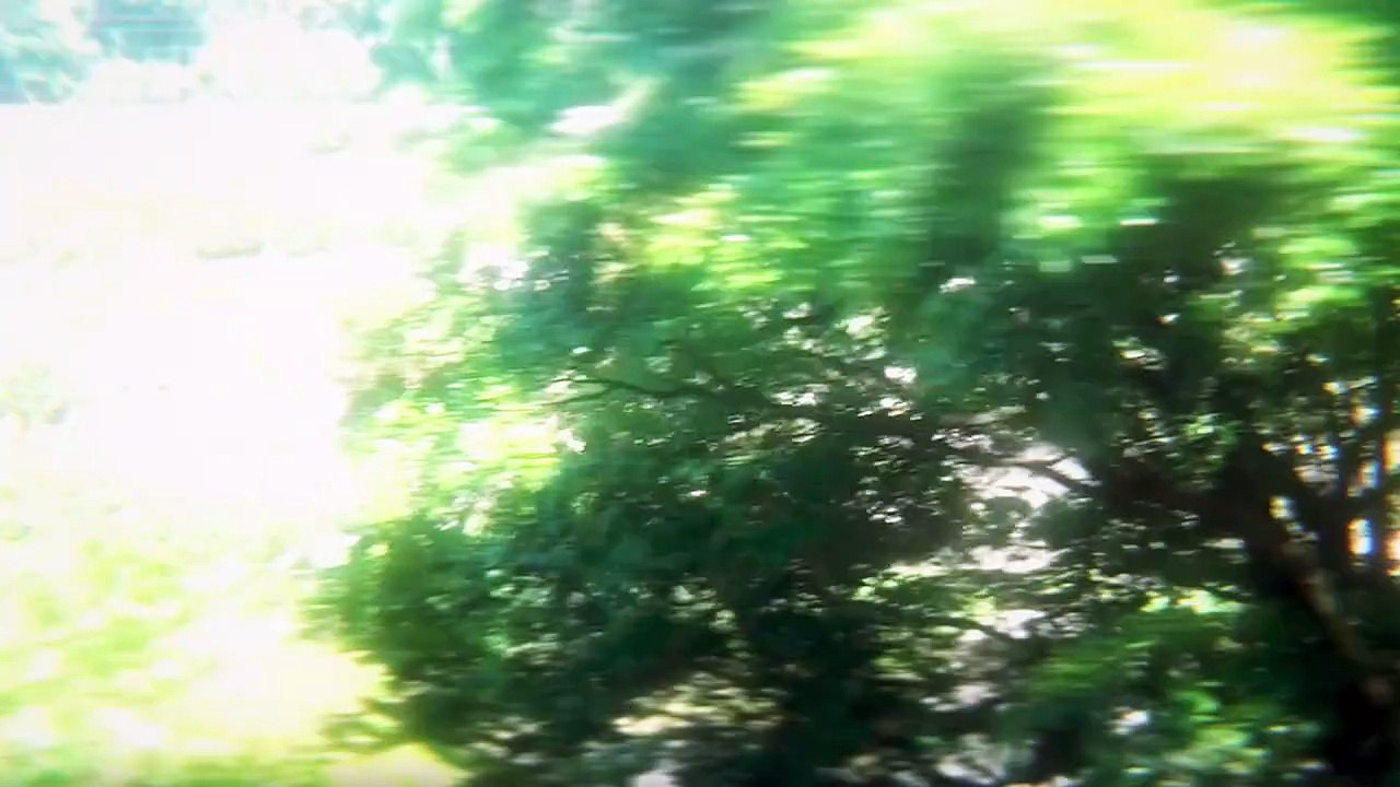 [ENG] EP.12 The Summer Hikaru Died