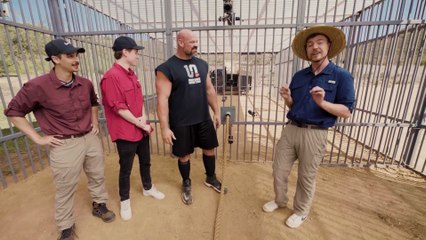 “MrBEAST CHALLENGED ME TO A TUG-OF-WAR WITH A LION 🦁💪😱”