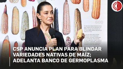 CSP anuncia plan para blindar variedades nativas de maíz; adelanta banco de germoplasma