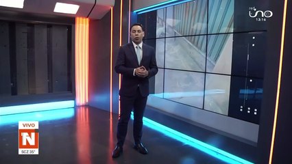 Dueño del gato amarrado en Mayorazgo rompe el silencio tras la polémica