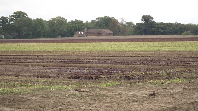 Residents in West Malling campaign against plans for 200 homes on Offham Road