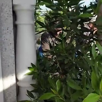 بوسي شلبي تُحيي ذكرى وفاة محمود عبد العزيز