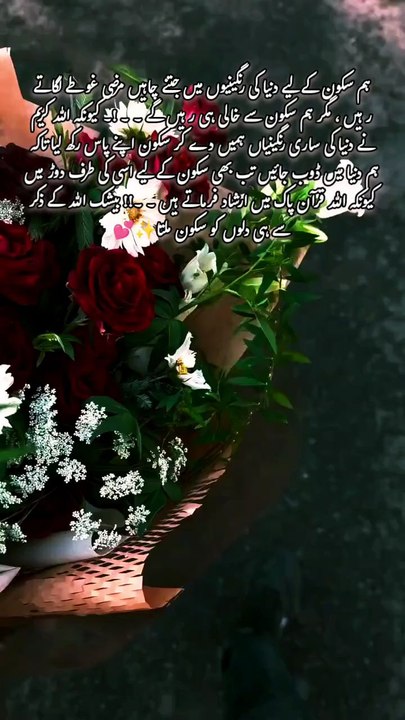 please follow me Thanks