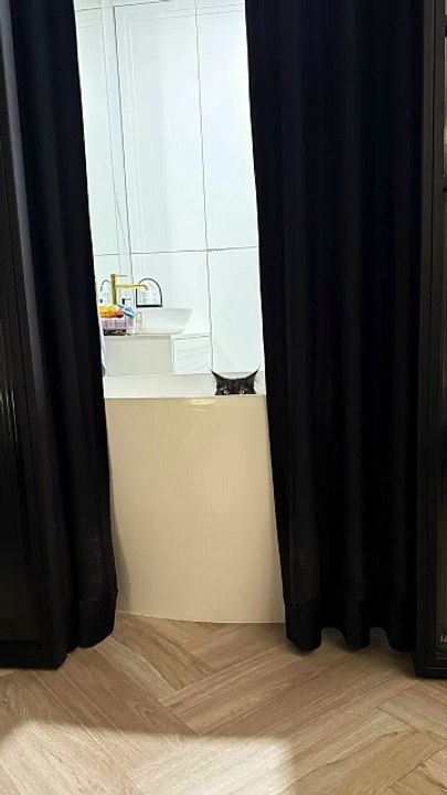 Don`t Forget About Bedtime Beauty Ritual! (Cat Edition) #shorts #cat #goodnight #spa #funny #funnycats #viralcats #cute #fyp