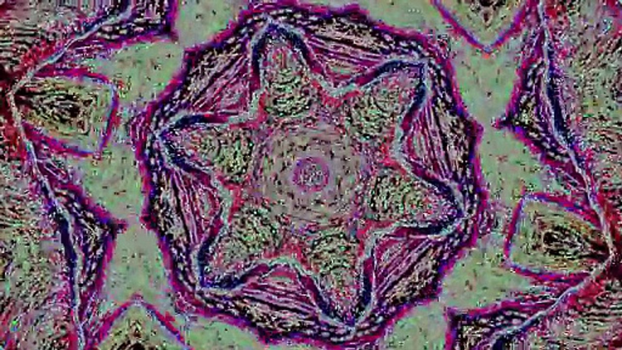 Tranced and Psychedelisized #181 - September 29, 2025