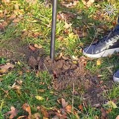 Let's find out how to add more functionality to your work tools!