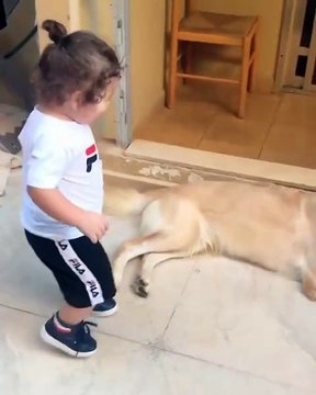 نجل سيرين عبد النور يُداعِب الكلب بعفوية