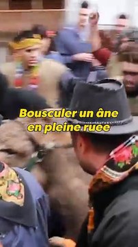 Une fête bien triste pour les ânes !